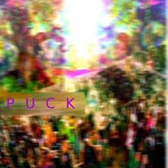 Puck2309