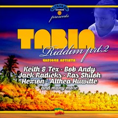 16.Instrumental Version