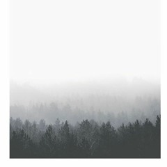 Sets slow