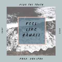Feel Like Hawaii (prod. DRK$PRK)