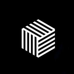 Stevie Rose Shadows Of Pain (Twintec & Dore Rmx)