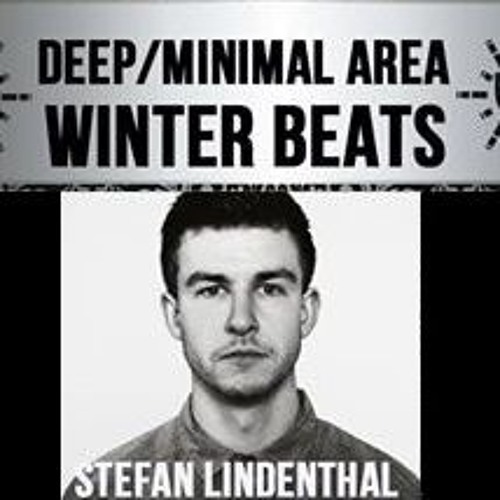 Stefan Lindenthal @ Winterbeats Festival 2014 - FREE DOWNLOAD