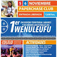 "Sabores y Recuerdos Ancestrales del Wenuleufu"