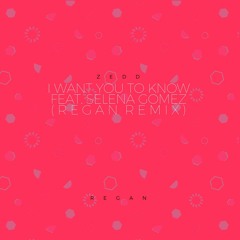 Zedd - I Want You To Know Feat. Selena Gomez (Regan Spring Of 2016 Edit)