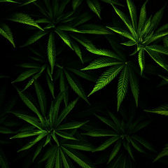 Mixtape Part 7 Mix By. Rico