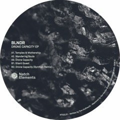 Download: BLNDR - Silent Quest (Hydrangea Remix)