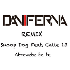 Snoop Dog Feat. Calle 13 -- Atrevete (Dani Ferna rmx)