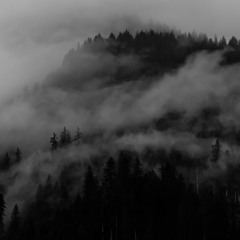 she doesnt even know my name