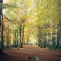 Autumn (Paolo Nutini Cover)