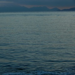 zé do caroço (leci brandão)