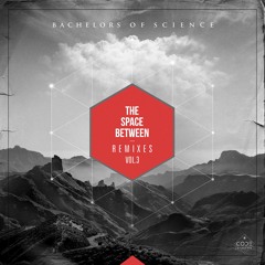 Bachelors Of Science - Control (The Insiders Remix) [CODER011]