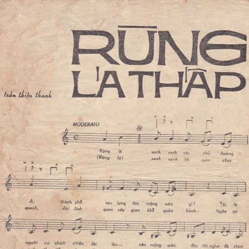 Rừng lá thấp - Chế Linh