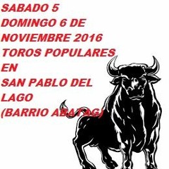 TOROS POPULARES EN SAN PABLO DEL LAGO (ABATAG)