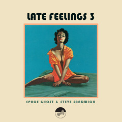 Late Feelings 3 (Mixed By Space Ghost & Steve Sandwich)