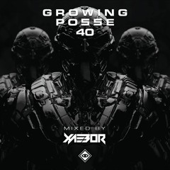 The Growing Posse Vol. 40 ( Mixed by XaeboR )