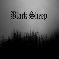Black Sheep(Prod. Stereotistik)