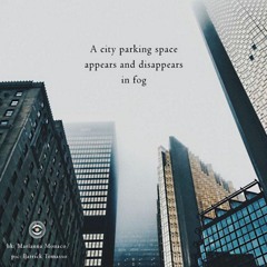 Parking in space [Haiku148]