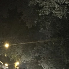 Townhouse Ln (Feat.SB)