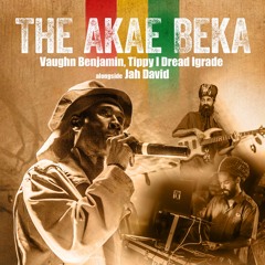 Akae Beka & I Grade Dub Set Toronto 10.30.16