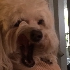 You Never Talk To Me Anymore