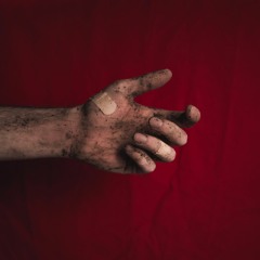 Kahverengi'nin Şarkısı