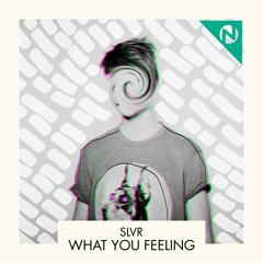SLVR - What You Feeling