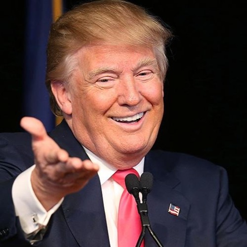 Stream Trump & Tax Turmoils by Alexandra Meeks | Listen online for free ...