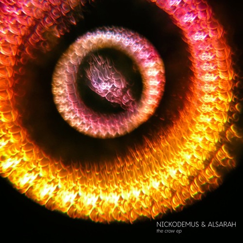 PREMIERE: Nickodemus & Alsarah - The Crow [Wonderwheel]