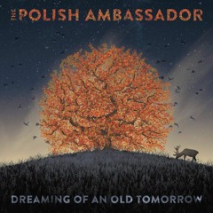 The Polish Ambassador feat. Yaima - "Our game"
