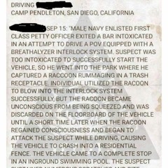 NEIN OH NEIN (Original Mix)