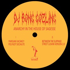 PREMIERE : DJ Bong Gozling - Parisian Vacancy