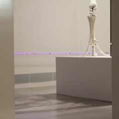 Berlin Gallery