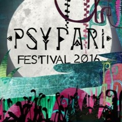 Live @ Psyfari Festival 2016 (Zoolu Stage)