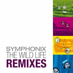 Symphonix - The Good Old Times (Invisible reality RMX)(2009)
