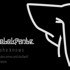 Elekfantz - She Knows (Alex Senna & Skullwell Remix)[FREE DOWNLOAD]