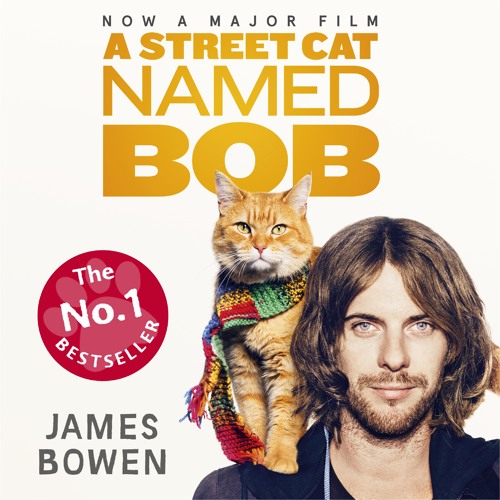 a street cat named bob book pdf free download