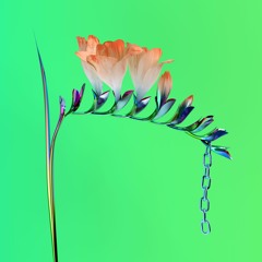 Flume-Trust (feat. Isabella Manfredi)