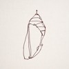 JAKE DOWNS - Chrysalis