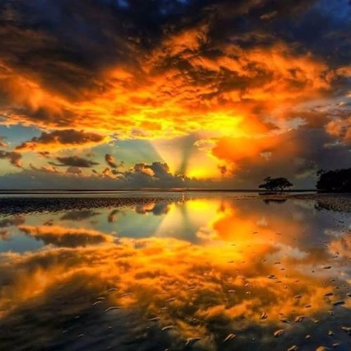 Manuel De Lorenzi What I Have Done (Dub Version)