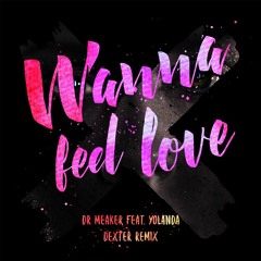 Dr Meaker feat. Yolanda - Wanna Feel Love (Dexter Remix)