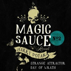 Strange Attractor