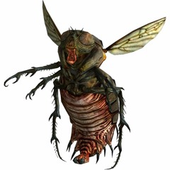 Lofly (Prod. stoolin) VIDEO IN DESCRIPTION