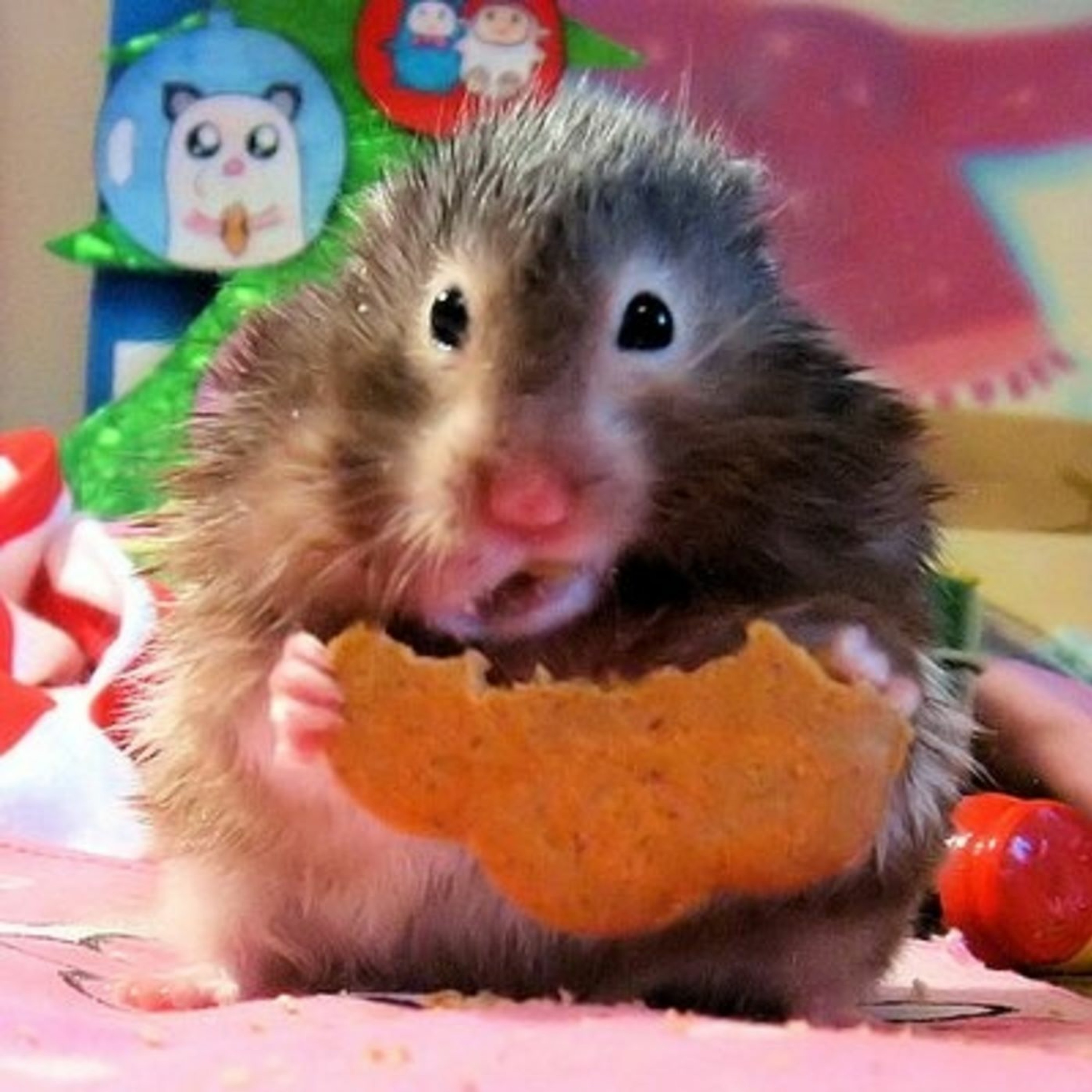 RWS Ep. 1 - Christmas thumbnail