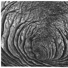 Staircase (Radiohead cover)