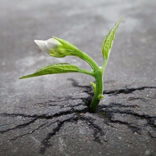 Change