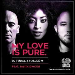 DJ Fudge & Hallex M Feat. Tasita D'Mour - My Love Is Pure (Renato Xtrova Remix) 2016