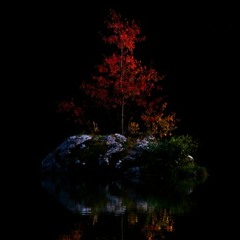 Blanguage (instrumental)