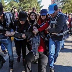 گفتگوی کریم اصغری با رادیوی فرانسه در مورد دستگیری گروهی از نمایندگان پارلمان تورکیه