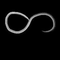 Muhammad Khalifa - Nothing Ever Lasts