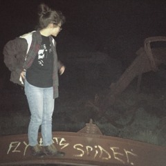 Naomi (Cover) - Fly Eats Spider